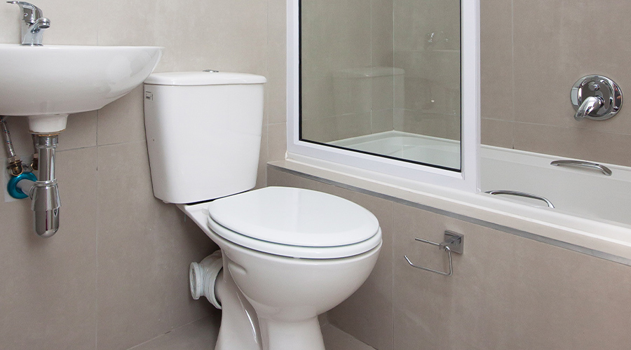 The Oaks Project Gallery